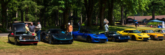 7 Lotus cars parked in a grassy field in front of evergreen trees.